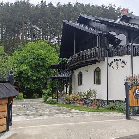 Casa Dintre Pini Villa Păltinoasa Eksteriør bilde