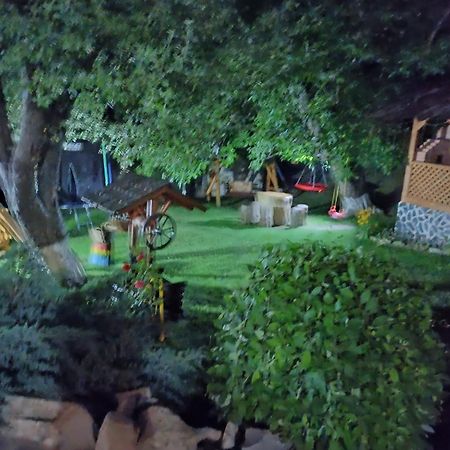 Casa Dintre Pini Villa Păltinoasa Eksteriør bilde