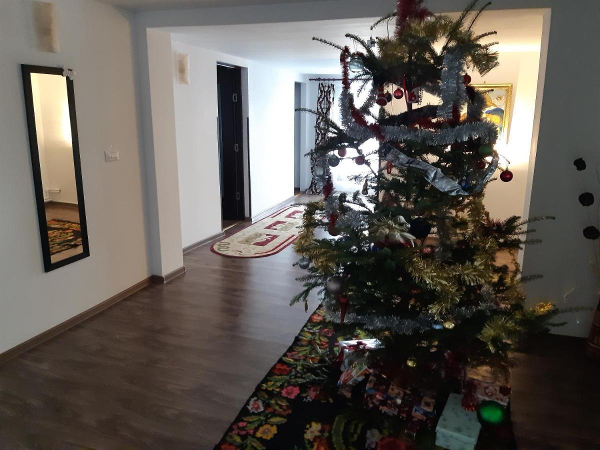 Casa Dintre Pini Villa Păltinoasa Eksteriør bilde
