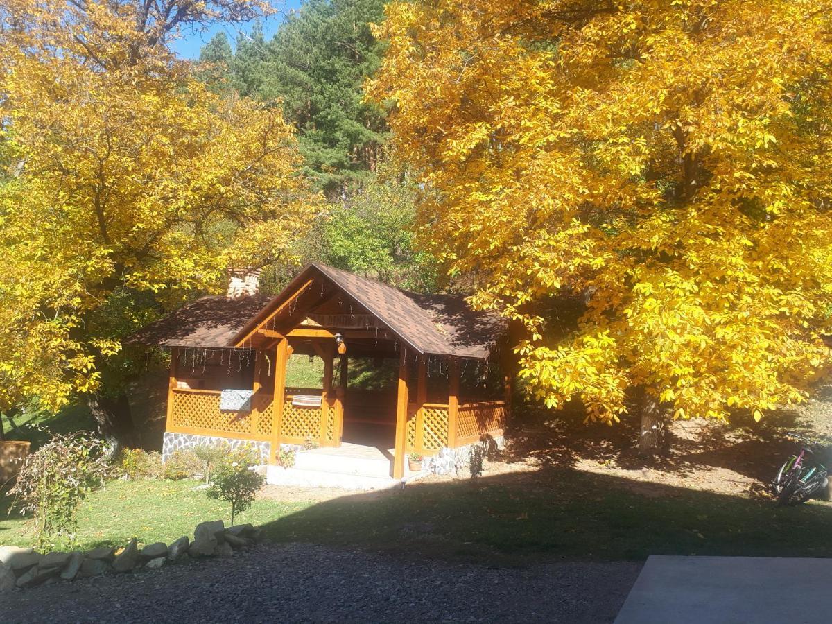Casa Dintre Pini Villa Păltinoasa Eksteriør bilde
