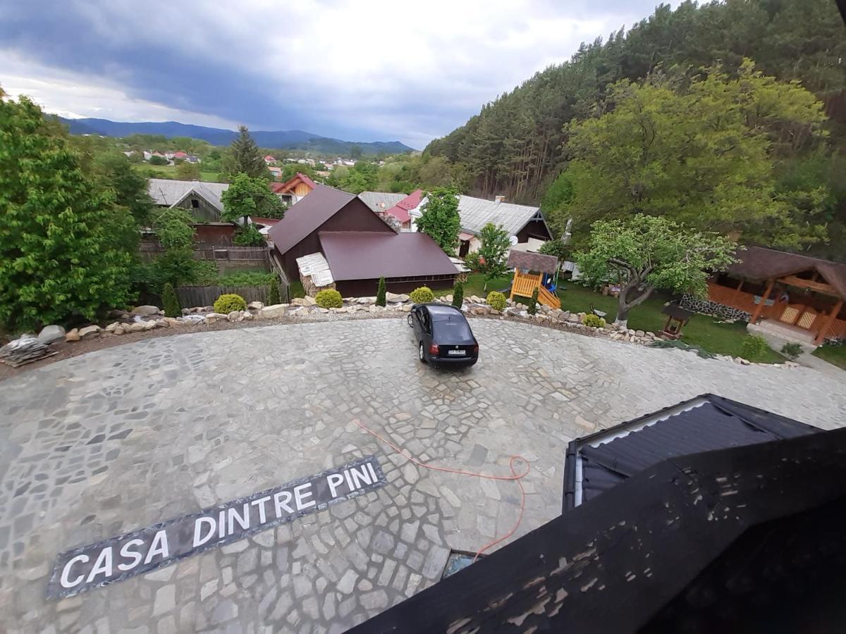 Casa Dintre Pini Villa Păltinoasa Eksteriør bilde