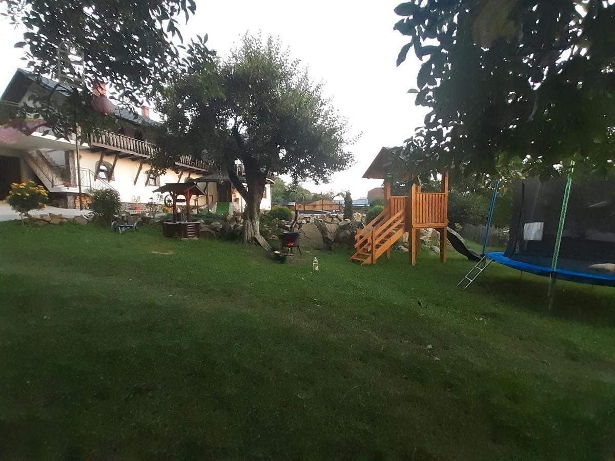 Casa Dintre Pini Villa Păltinoasa Eksteriør bilde