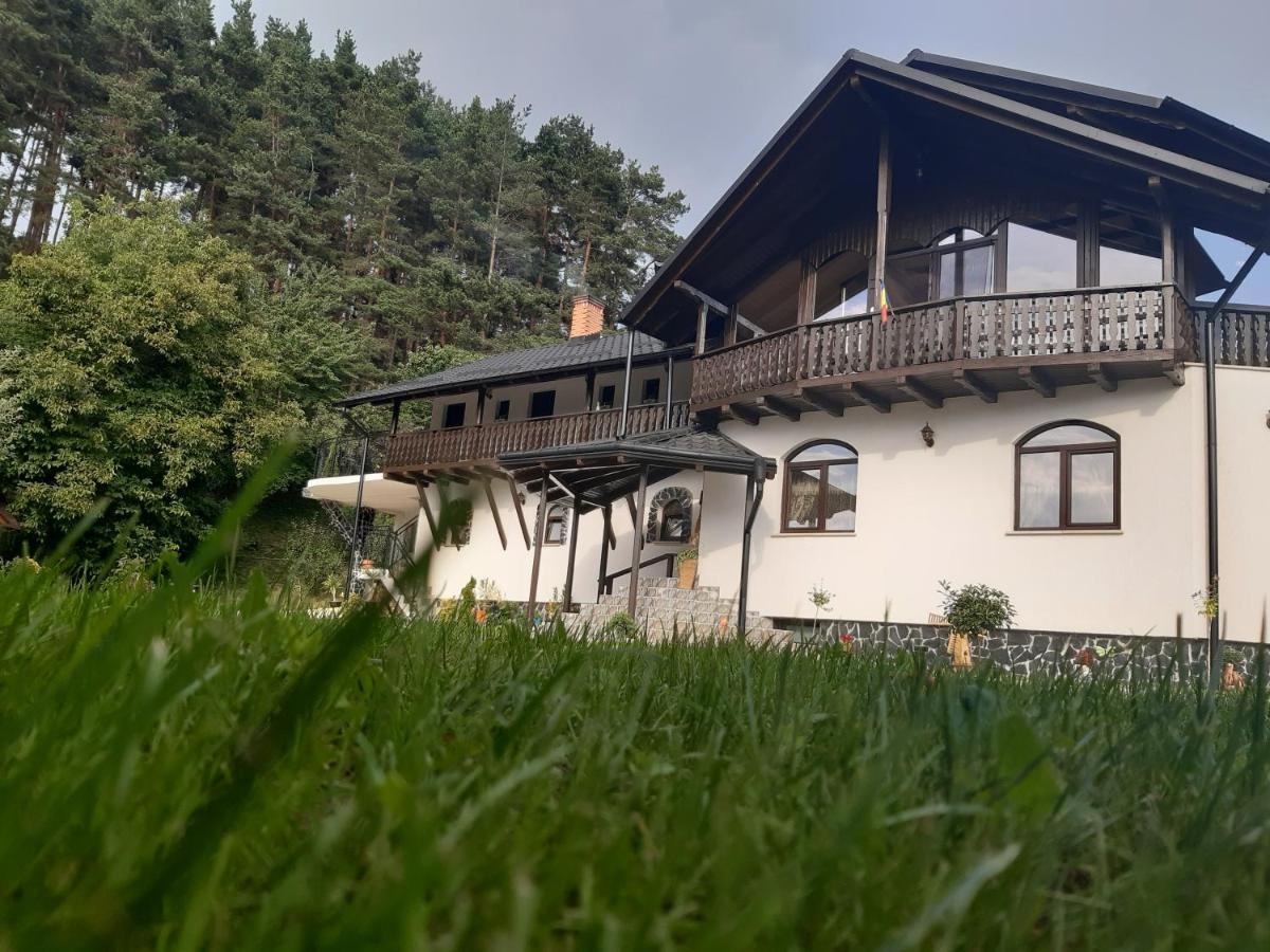 Casa Dintre Pini Villa Păltinoasa Eksteriør bilde