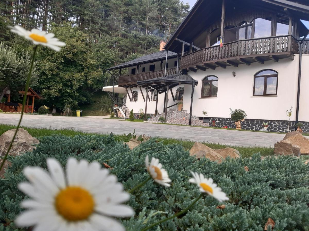 Casa Dintre Pini Villa Păltinoasa Eksteriør bilde