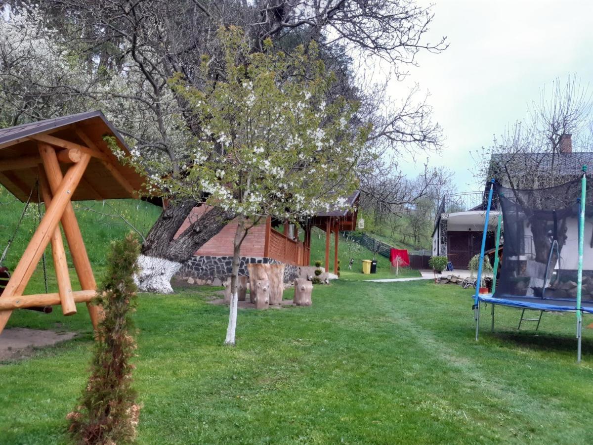 Casa Dintre Pini Villa Păltinoasa Eksteriør bilde