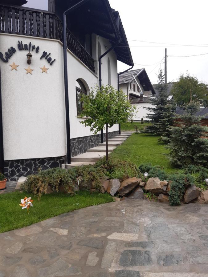 Casa Dintre Pini Villa Păltinoasa Eksteriør bilde