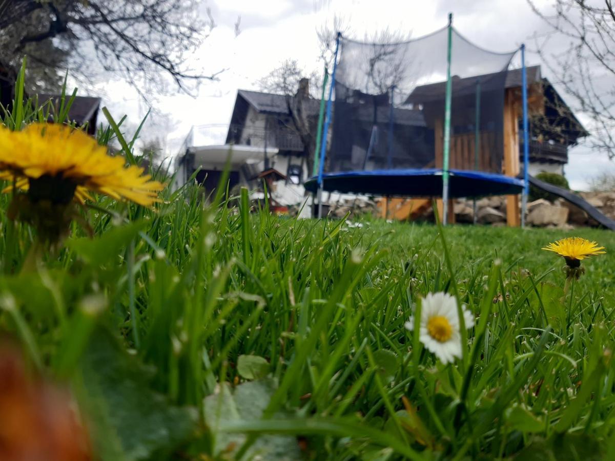 Casa Dintre Pini Villa Păltinoasa Eksteriør bilde