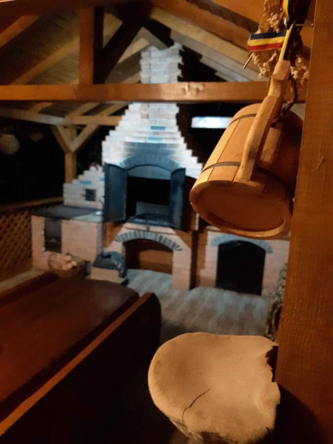 Casa Dintre Pini Villa Păltinoasa Eksteriør bilde