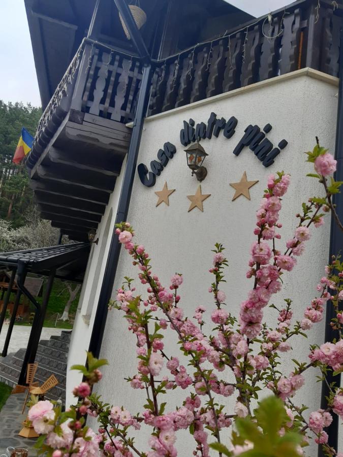 Casa Dintre Pini Villa Păltinoasa Eksteriør bilde