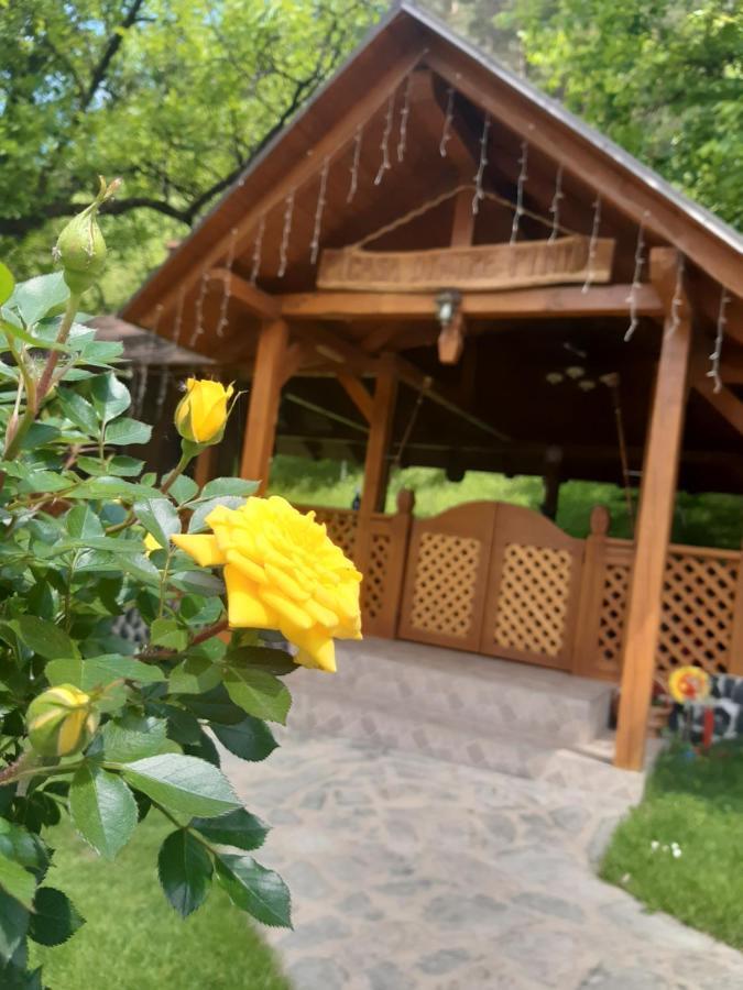 Casa Dintre Pini Villa Păltinoasa Eksteriør bilde