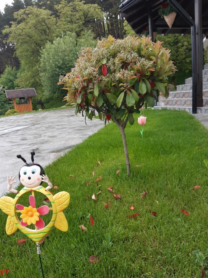 Casa Dintre Pini Villa Păltinoasa Eksteriør bilde