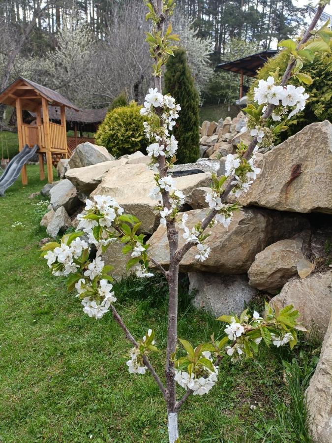 Casa Dintre Pini Villa Păltinoasa Eksteriør bilde