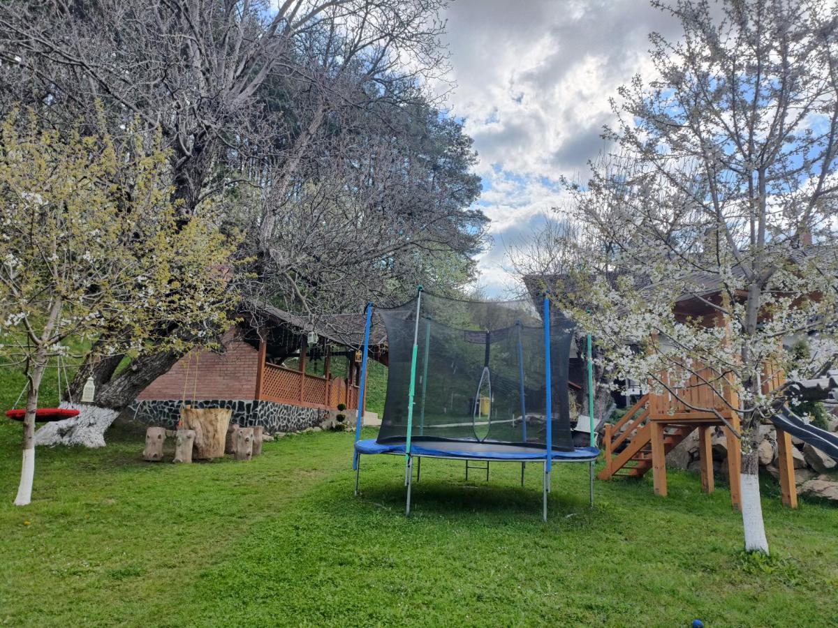 Casa Dintre Pini Villa Păltinoasa Eksteriør bilde