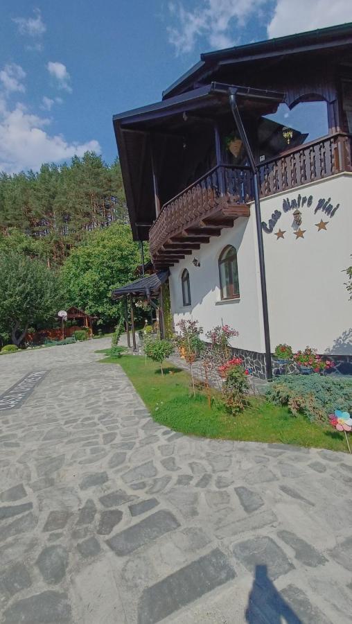 Casa Dintre Pini Villa Păltinoasa Eksteriør bilde