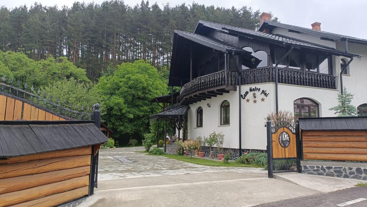 Casa Dintre Pini Villa Păltinoasa Eksteriør bilde