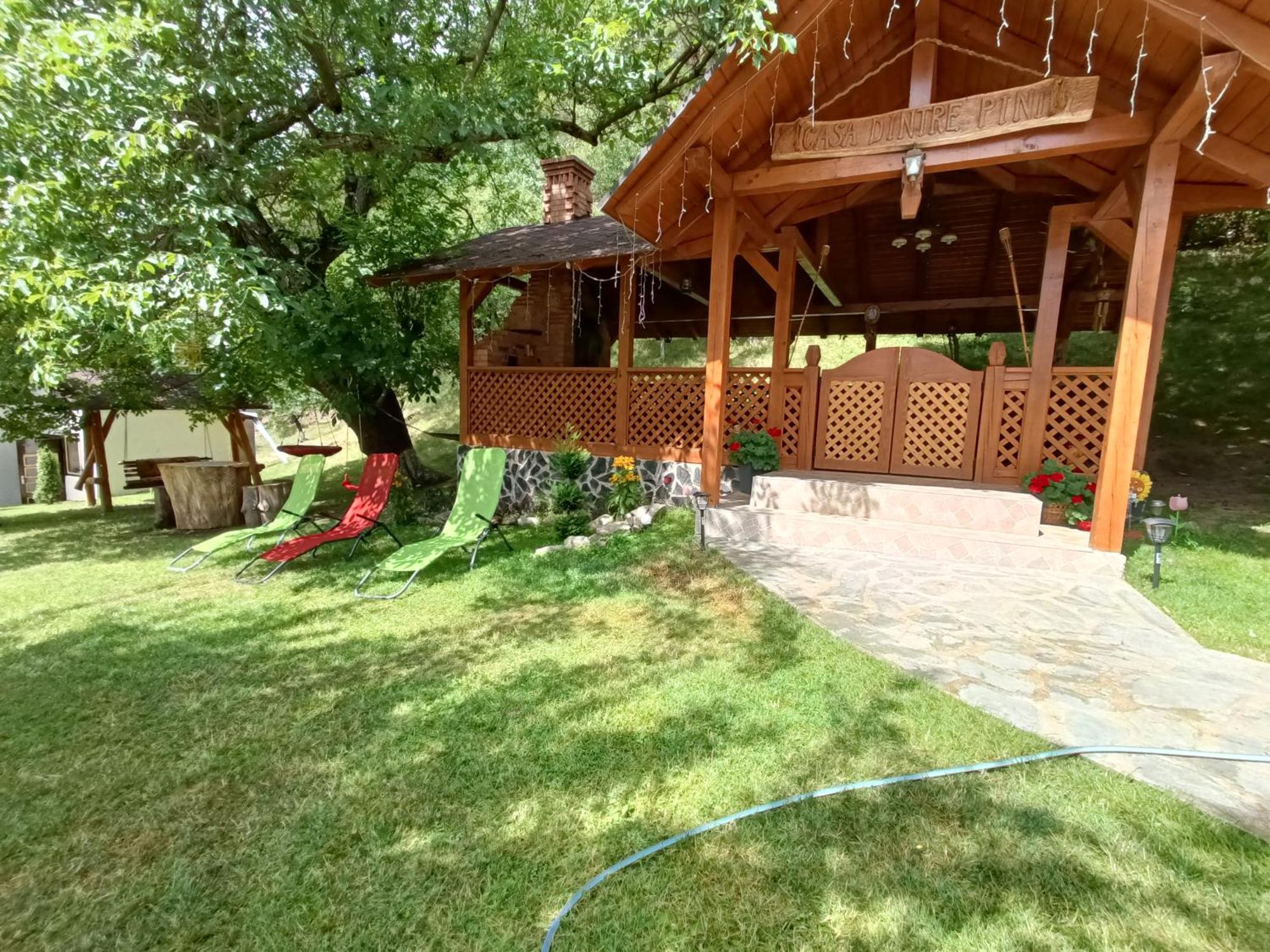 Casa Dintre Pini Villa Păltinoasa Eksteriør bilde
